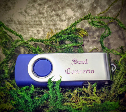 Soul Concerto